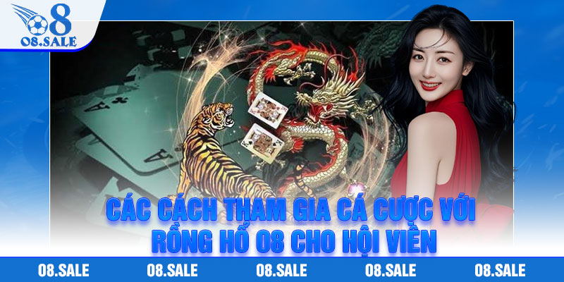 Các cách tham gia cá cược với rồng hổ O8 cho hội viên