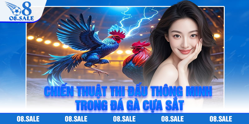 Chiến thuật thi đấu thông minh trong đá gà cựa sắt