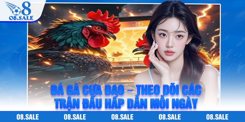 Da Ga Cua Dao – Theo Doi Cac Tran Dau Hap Dan Moi Ngay