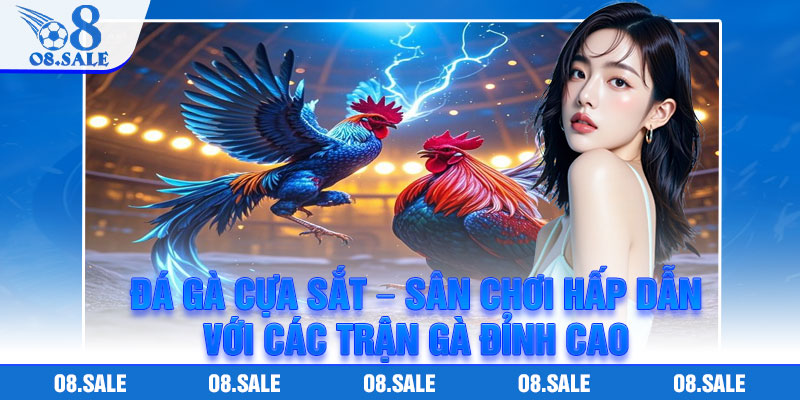 Da Ga Cua Sat – San Choi Hap Dan Voi Cac Tran Ga Dinh Cao