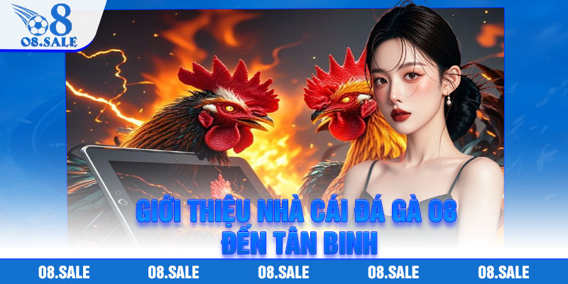Giới thiệu nhà cái đá gà O8 đến tân binh