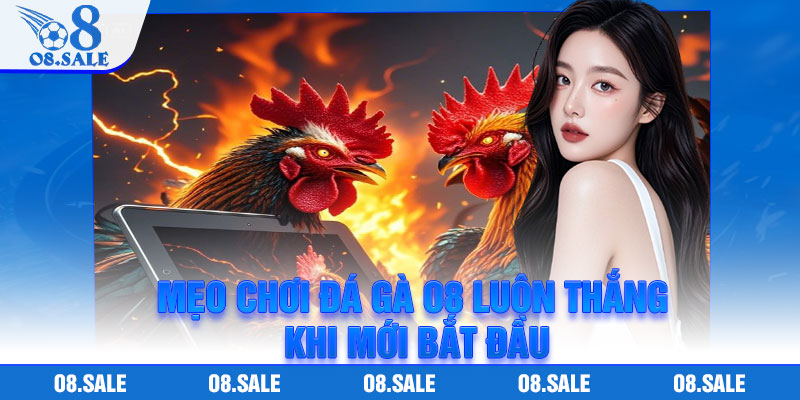 Mẹo chơi đá gà o8 luôn thắng khi mới bắt đầu