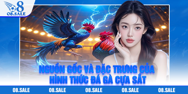 Nguồn gốc và đặc trưng của hình thức đá gà cựa sắt