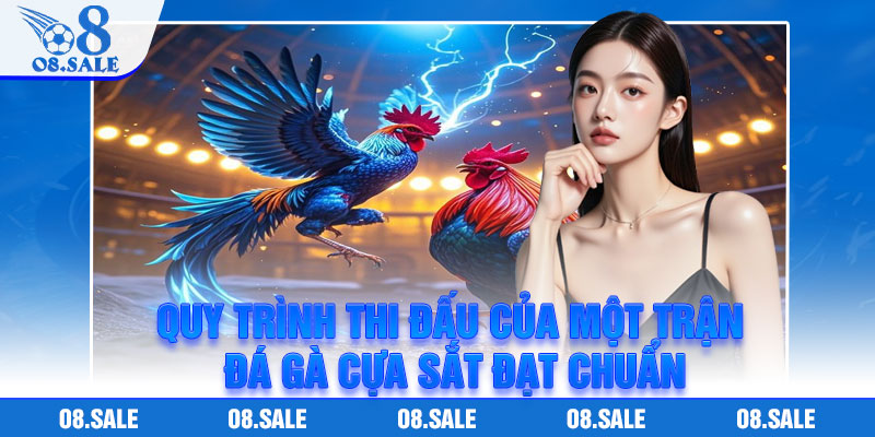 Quy trình thi đấu của một trận đá gà cựa sắt đạt chuẩn